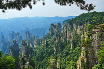 �żҽ����ɭ�ֹ�԰ʯ�徰��