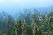 �żҽ�ɭ�ֹ�԰����Ⱥ����