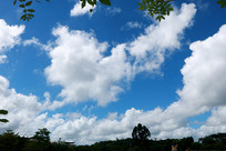 ������³��������