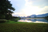 ʪ�ع�԰����