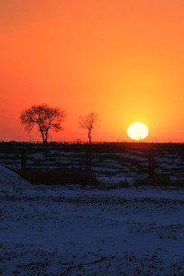 ��ڡ��ѩ��Ϧ�� 