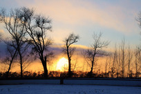 ��ڡ��ѩ��Ϧ���������