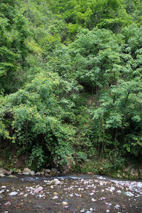 ������ɽ��ƺ��̶Ϫ�ľ��ĺӹ�