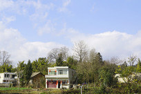 ���ݱϽ���ǭ������� 