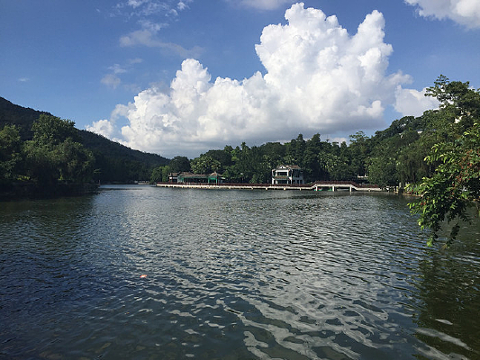 �»������԰����