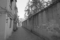 �ϳɶ�����-С����