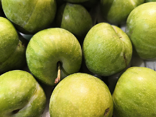 ��ɬ������