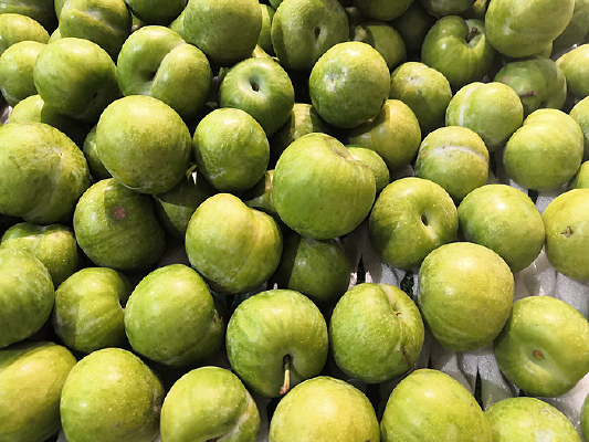 ��ɬ����������