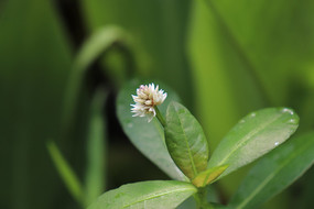 һ��ϲ�����Ӳ�