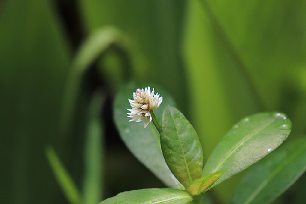 һ��ϲ�����Ӳ�