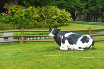 ������ţ