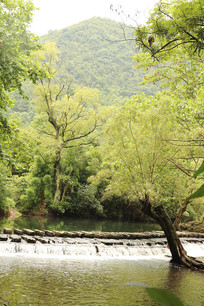 �ٲ��ź���