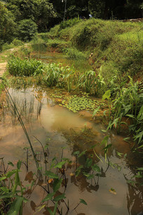 ʵ����ط��