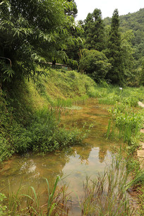 �����Ȼ���