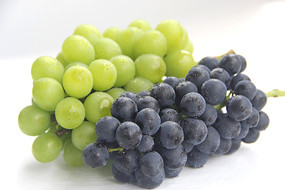 �ĺ�õ����