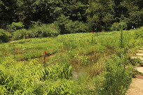 б����ط��