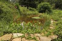 һ���������