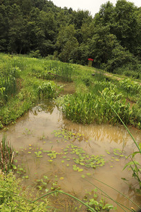 һ��ʪ�ط��