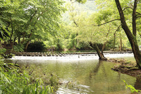 Զ���ٲ��ź���