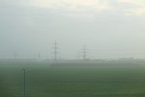 �����еĵ¹������˸����� 