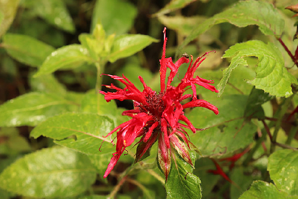 ��ʪ����������