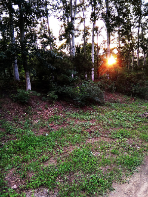 ����Ϧ��