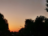 ��ʻ�ڳ�ɫ����ϼ��