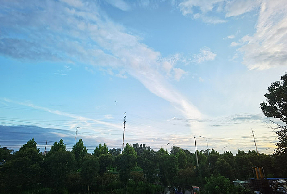 Զ�������