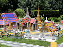 ��ɫ����΢�����۾ֲ�