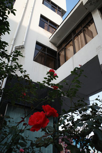 ��̨����