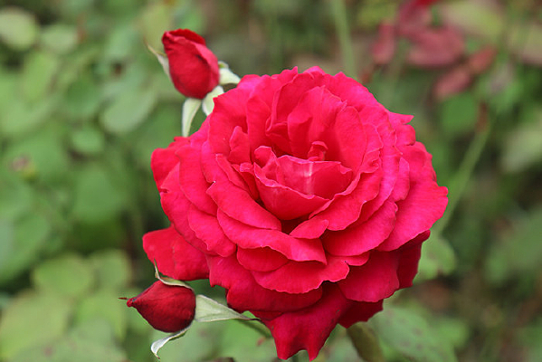 �����¼���