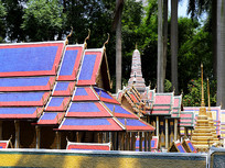 ΢����ɫ����