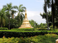 ΢���ⶥ����