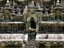 ΢������-�Ŷ�