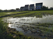 �ղ��ֵ���