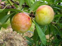 ���ʹ�����