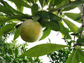 ����ʹ�����