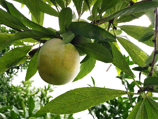 ����ʹ�����