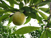 ����ʹ�����