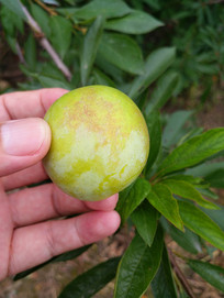 �����ʹ�����