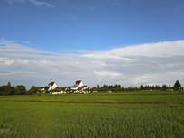 ������ˮ����