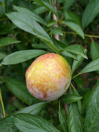 �ʹ�������