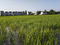 ���յ���