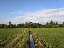 ���������Ұ