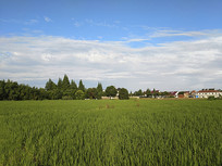 ������ͼ