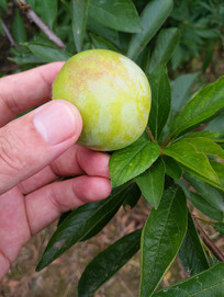 ժ�ʹ�����