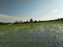 ����ˮ����