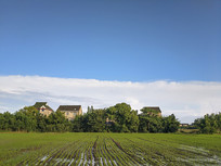 ����ˮ�羰ɫ