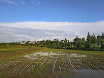 �����񾲴�ׯ