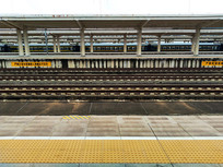 ��������·���